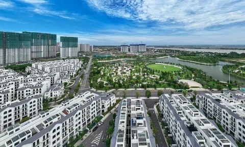 Thị trường bất động sản hiện nay như máy bay chỉ có hạng thương gia