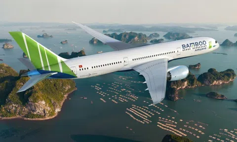 Bamboo Airways có Chủ tịch và Tổng giám đốc mới