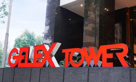 Gelex tái cấu trúc mảng hạ tầng