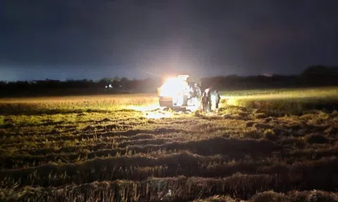 Người dân Quảng Trị xuyên đêm gặt lúa "chạy" bão số 5