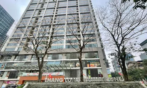 Viglacera tái cấu trúc mảng bất động sản