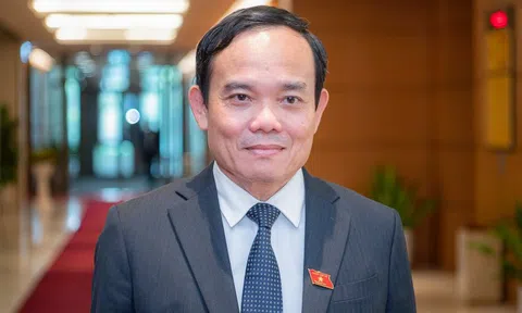 Tiểu sử tân Bí thư Thành ủy TP.HCM Trần Lưu Quang