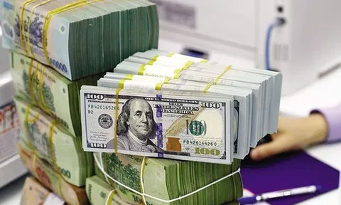 Vì sao tỷ giá liên tục tăng?