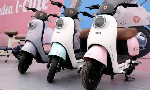 Thủ tướng muốn hãng xe máy điện Yadea mở rộng đầu tư tại Việt Nam