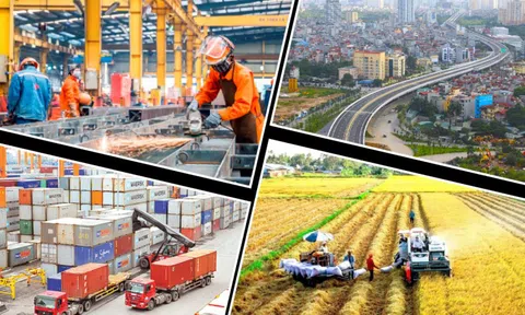 Tiếp tục miễn giảm và gia hạn thuế, phí để thúc đẩy sản xuất kinh doanh, tạo sinh kế cho người dân