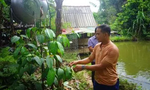 Người dân vùng cao giảm nghèo từ những mô hình kinh tế hiệu quả