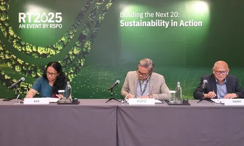 RSPO, NASH và ASB United hợp tác để tăng cường sức mạnh cho các hộ nông dân nhỏ của Malaysia và thúc đẩy sản xuất dầu cọ bền vững