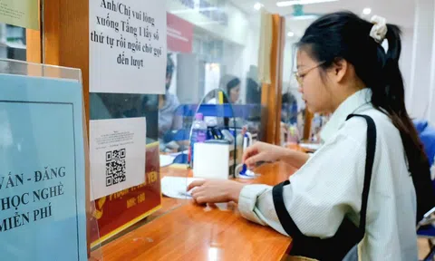 Tin tức sáng 20-12: Rút ngắn thời gian chờ hưởng trợ cấp thất nghiệp; Giá heo hơi bật tăng