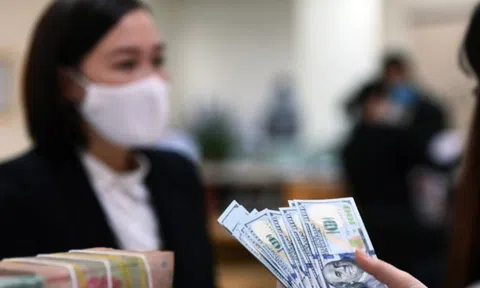 Đồng USD chịu áp lực mạnh từ chính sách nới lỏng của FED, xu hướng tỷ giá sẽ ra sao trong năm 2026?