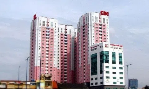 Chương Dương Corp dự kiến dùng vốn huy động từ chào bán cổ phiếu để làm gì?