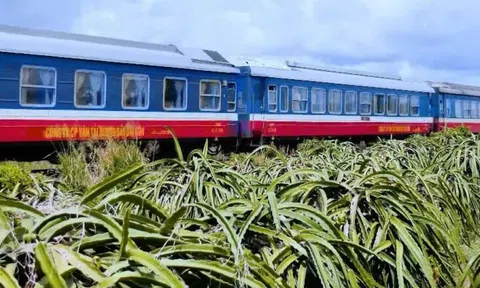 Đề xuất đầu tư để cải tạo đường sắt Hà Nội - TP. Hồ Chí Minh