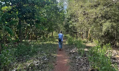 Chấp thuận nhà đầu tư đề xuất dự án đường kết nối từ cầu Mã Đà với Vành đai 4 TPHCM