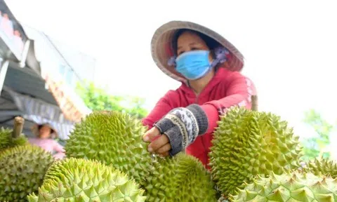 Xuất khẩu nông, lâm, thủy sản 2026 hướng đến mục tiêu 73-74 tỷ USD