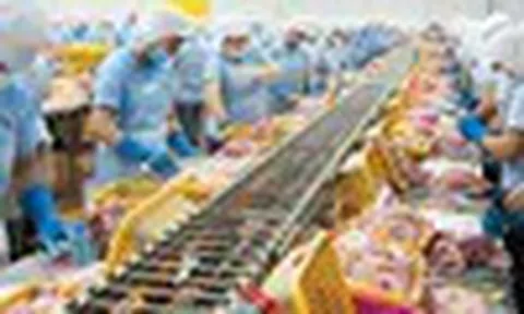 Cổ phiếu cần quan tâm ngày 28/1