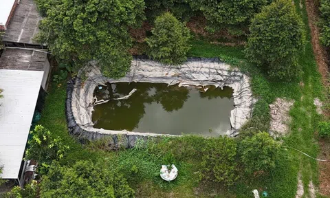 Sẵn sàng phương án mua nước ngọt cấp cho dân khi mặn gay gắt