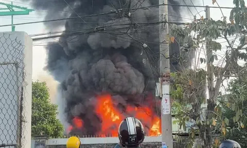 Cháy lớn nhà xưởng chứa pallet nhựa ở xã Đông Thạnh