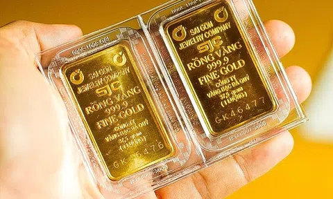 Sáng ngày 29/1: Giá vàng thế giới, vàng trong nước liên tiếp xô đổ kỷ lục, thiết lập đỉnh mới