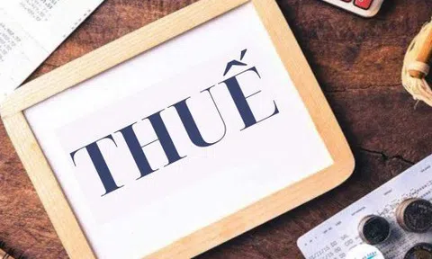 Sau 1/7, cơ quan Hải quan sẽ ấn định số thuế phải nộp với 7 trường hợp sau liên quan đến hàng hóa xuất nhập khẩu