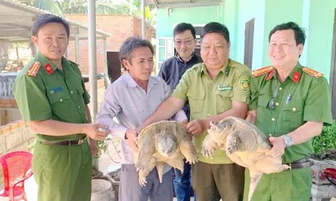 Một người dân Lâm Đồng giao nộp hai con rùa quý hiếm