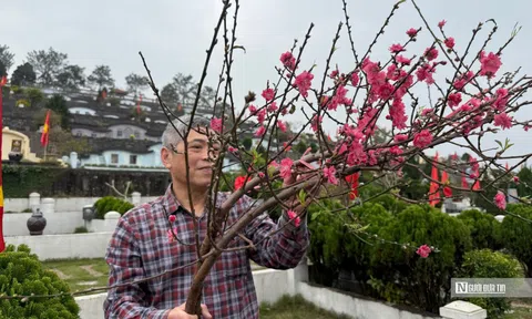 Vượt trăm cây số để "mời các cụ" về ăn Tết