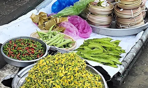 Săn đặc sản ăn chơi ngày Tết - Kỳ cuối: Thân thương món miền Tây giữa Tết Sài Gòn