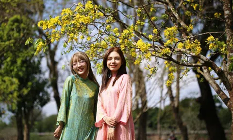 Đường hoàng mai xứ Huế thắm sắc xuân