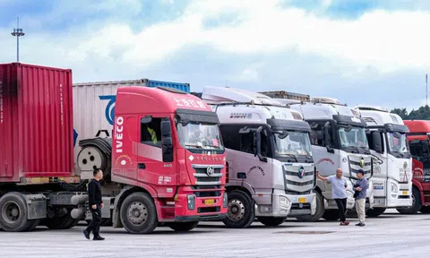 Ách tắc thực phẩm nhập khẩu: Doanh nghiệp đối mặt thiệt hại lớn