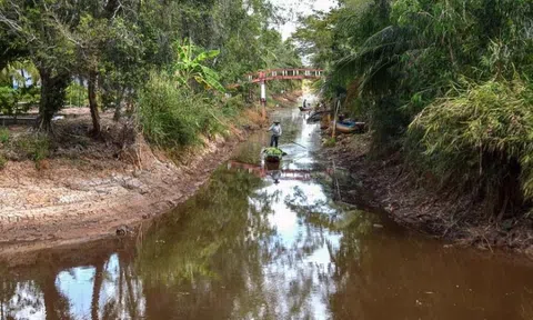 Xâm nhập mặn gia tăng ở miền Tây đầu tháng 2 và Tết Nguyên đán