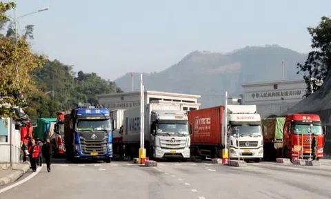 Thủ tướng yêu cầu tuyệt đối không để ách tắc hàng hóa ở các cửa khẩu