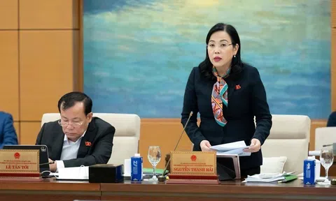 Ủy ban của Quốc hội sẽ có ý kiến về Nghị định 46, không để ảnh hưởng đến doanh nghiệp