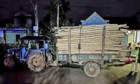 Tai nạn giữa máy cày chở keo tràm và xe máy, hai học sinh tử vong