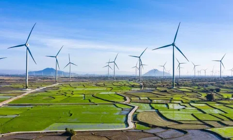 Gia Lai mời gọi đầu tư 12 dự án điện năng lượng tái tạo, tổng vốn hơn 21.000 tỷ đồng