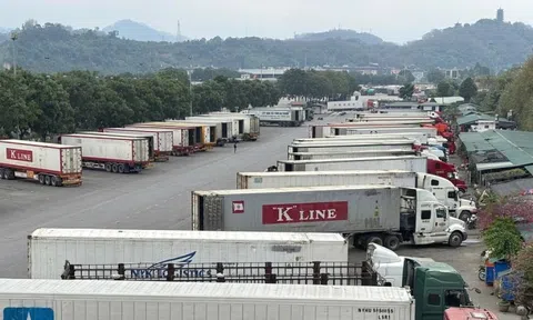 Thủ tướng chỉ đạo 'nóng' về thông quan hàng hóa