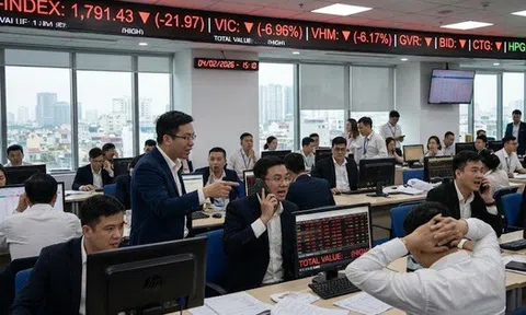 VN-Index lại thủng mốc 1.800 điểm, cổ phiếu thép Hòa Phát gây bất ngờ