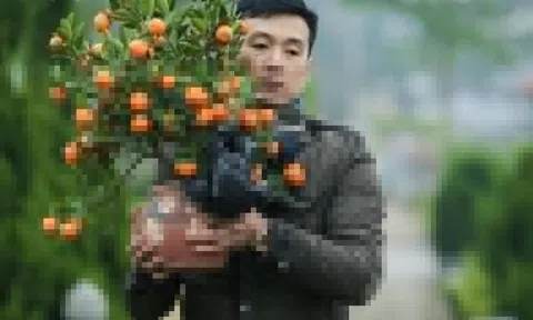 Dự báo thời tiết ngày 4/2: Miền Bắc rét đậm cục bộ