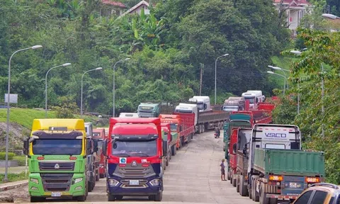 Thủ tướng yêu cầu lập đường dây nóng tiếp nhận và xử lý vướng mắc Nghị định 46