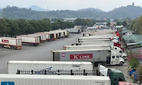 Bộ Y tế chính thức đề xuất tạm dừng Nghị định 46 và Nghị quyết 66.13/2026 của Chính phủ