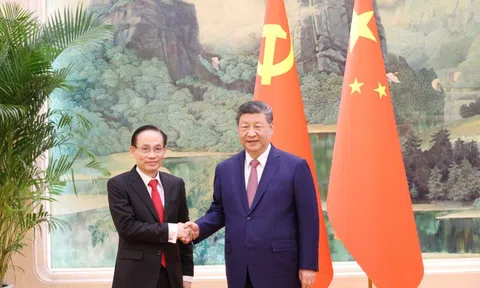 Đặc phái viên Tổng Bí thư hội kiến Tổng Bí thư, Chủ tịch Trung Quốc