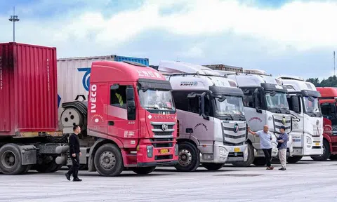 Tạm dừng áp dụng Nghị định 46 về an toàn thực phẩm đến hết ngày 15-4