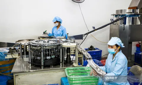 Tháng 1/2026 có gần 49.000 doanh nghiệp gia nhập thị trường, thu NSNN hơn 370.000 tỷ đồng