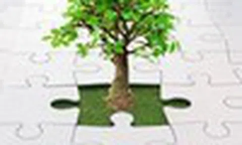 Nhận định thị trường phiên giao dịch ngày 6/2: Ưu tiên quản trị rủi ro, hạn chế mua đuổi