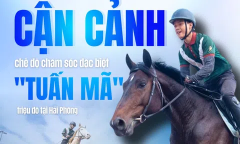 Cận cảnh chế độ chăm sóc đặc biệt "tuấn mã" triệu đô tại Hải Phòng