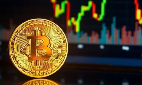 Lịch sử cho thấy Bitcoin và tài sản rủi ro thường suy yếu theo chu kỳ 4 năm, 2026 có lặp lại kịch bản cũ?