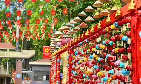 "Đường heo đất" rực rỡ sắc Xuân