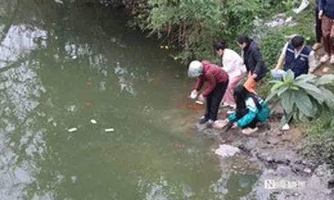 Ngày cúng ông Công, ông Táo: Cá chép "ngộp thở" vì tro rác phủ kín mặt sông