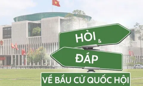 Thời điểm công bố kết quả bầu cử là khi nào?