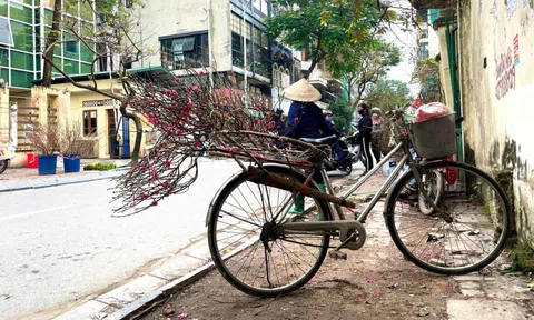 Chiếc xe đạp chở mùa xuân len lỏi giữa phố phường Hà Nội