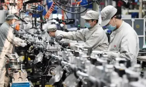 Tháng 1, chỉ số sản xuất công nghiệp tăng tại tất cả 34 tỉnh, thành