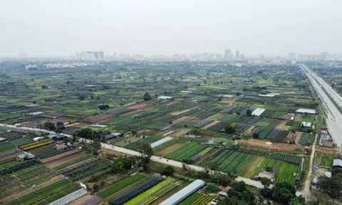 Dự án khu công nghệ cao sinh học hơn 1 tỷ đô được giao đất