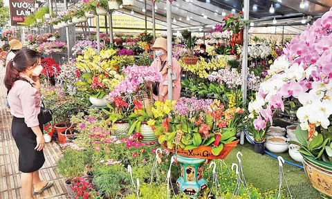 Những người bán hoa tết